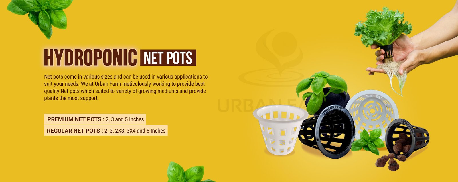 hydroponics-net-pots (1)