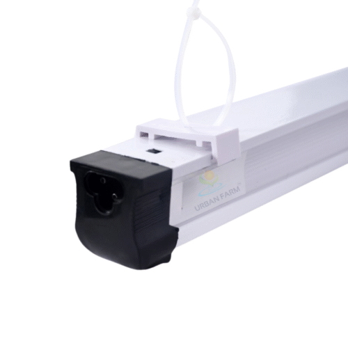 Grow Light Leafy Vegetables