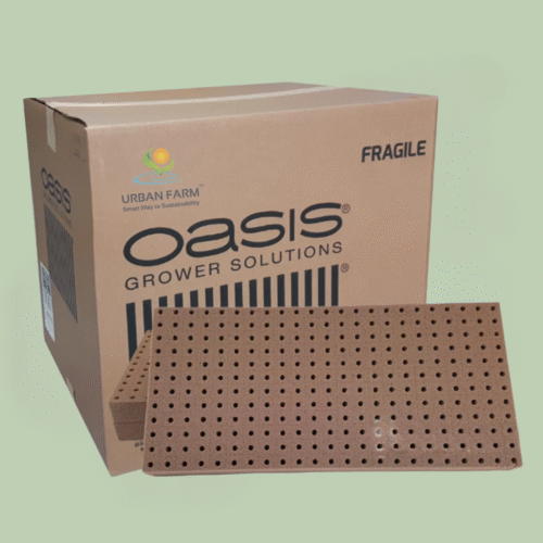 Oasis Grower Cubes