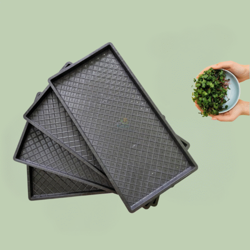 Microgreen Tray Regular