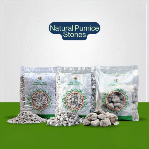 Pumice Stone